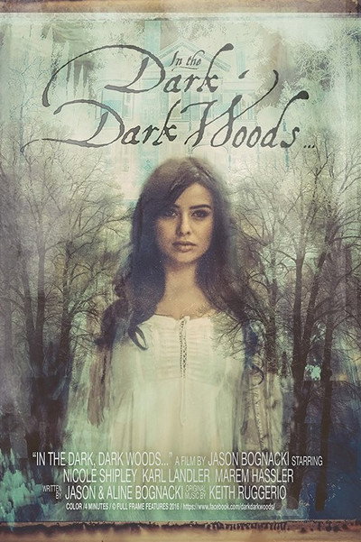 Póster de In the Dark Dark Woods...