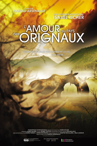 Póster de In the land of the moose