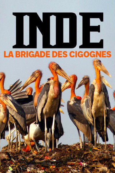 Póster de Inde, la brigade des cigognes