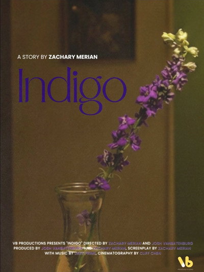 Póster de Indigo
