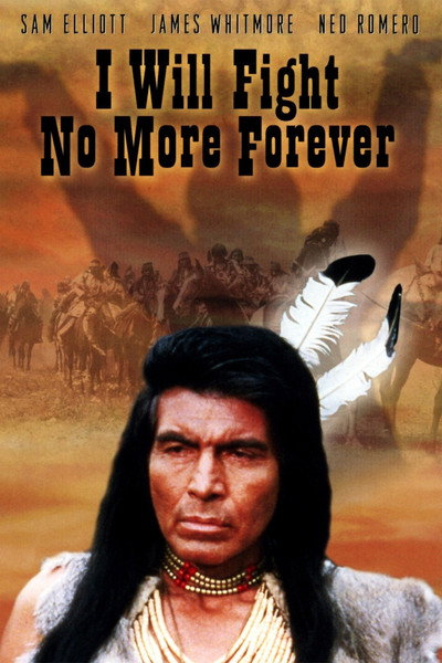 Póster de Indios
