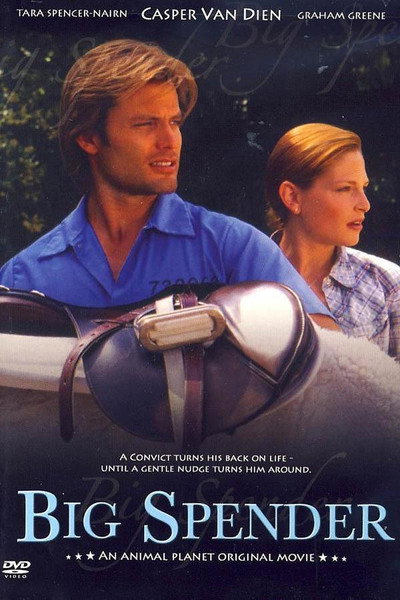 Póster de Indomable Big Spender