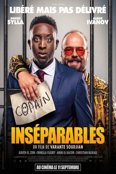 Póster de Inséparables