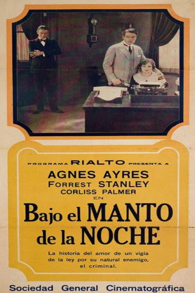 Póster de Into the Night