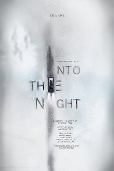 Póster de Into the Night