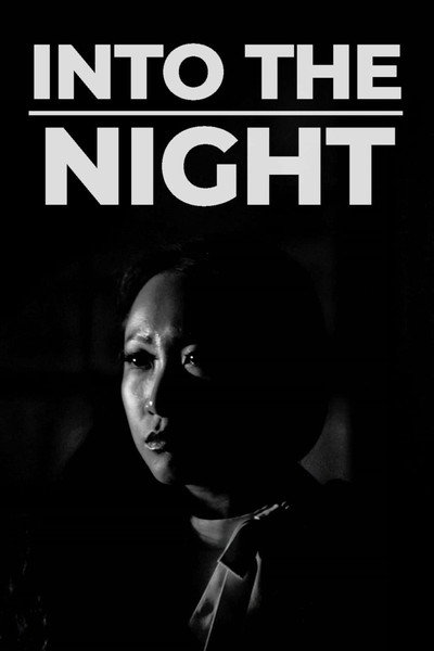 Póster de Into the Night