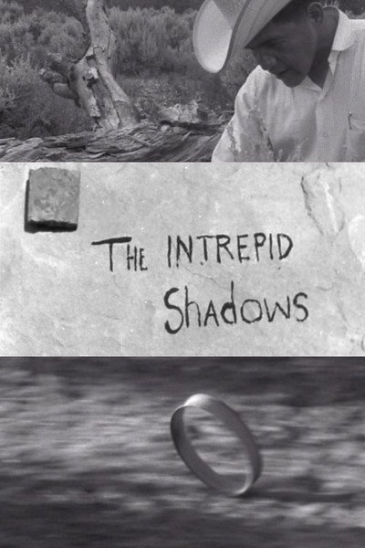 Póster de Intrepid Shadows