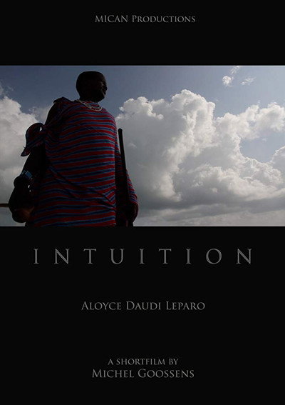 Póster de Intuition