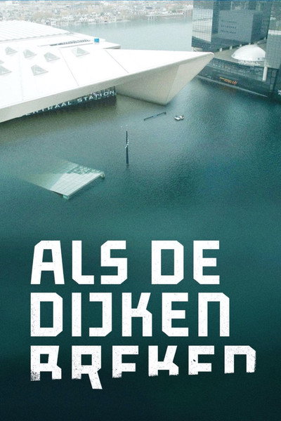 Póster de Inundación