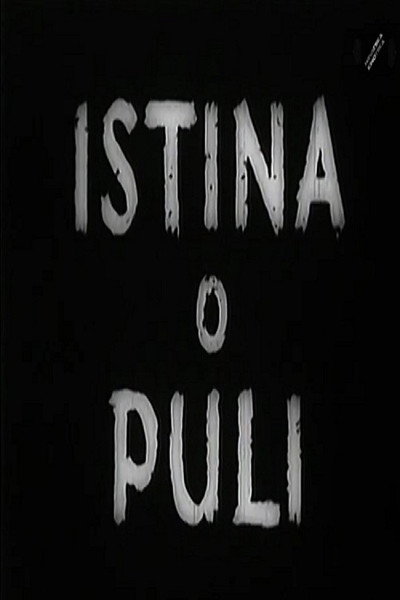 Póster de Istina o Puli