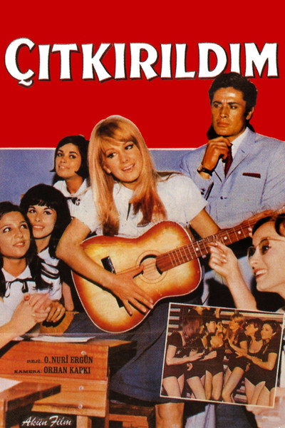 Póster de Çitkirildim