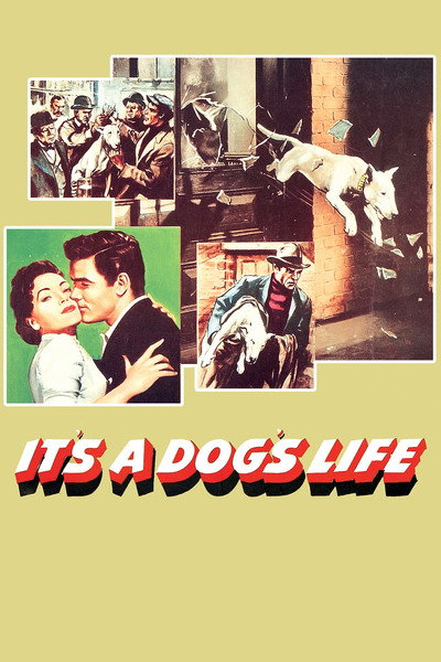 Póster de It's a Dog's Life