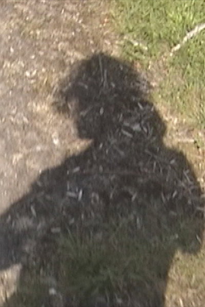 Póster de It's Really Beautiful Out