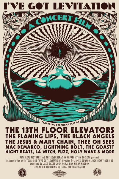 Póster de I've Got Levitation