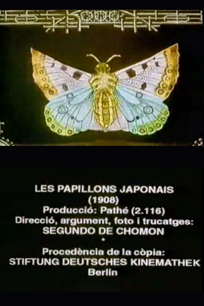 Póster de Japanese Butterflies