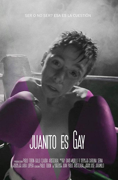 Póster de Johnny Is Gay
