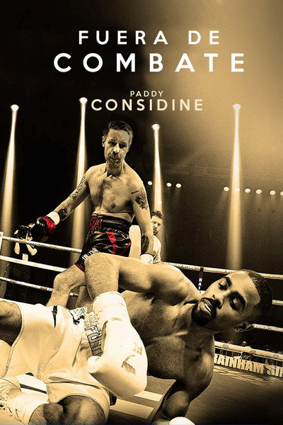Póster de Journeyman