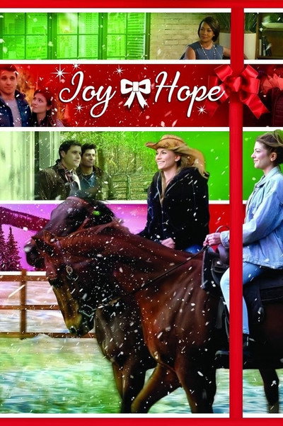 Póster de Joy & Hope