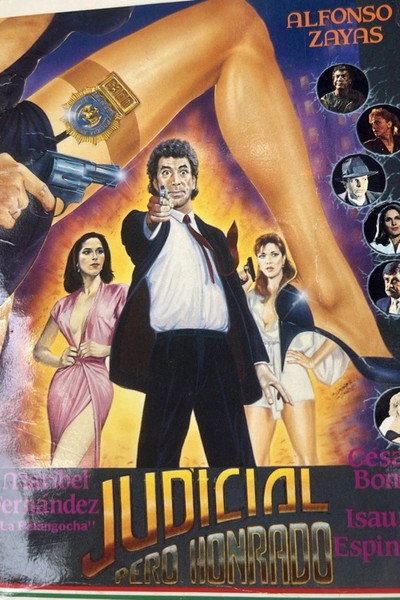 Póster de Judicial pero honrado