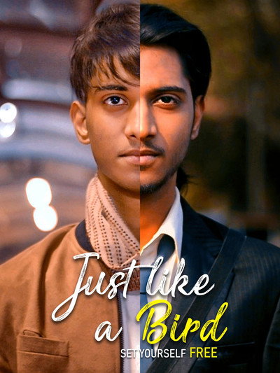 Póster de Just Like a Bird