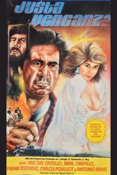 Póster de Justa venganza