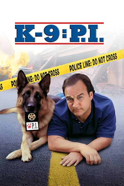 Póster de K-9: Investigadores privados
