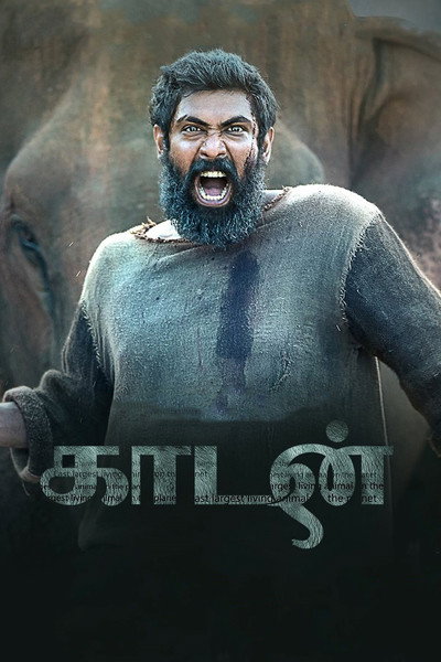 Póster de Kaadan