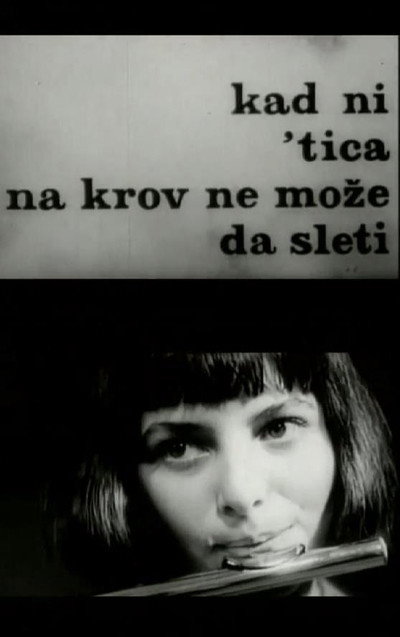 Póster de Kad ni tica na krov ne moze da sleti