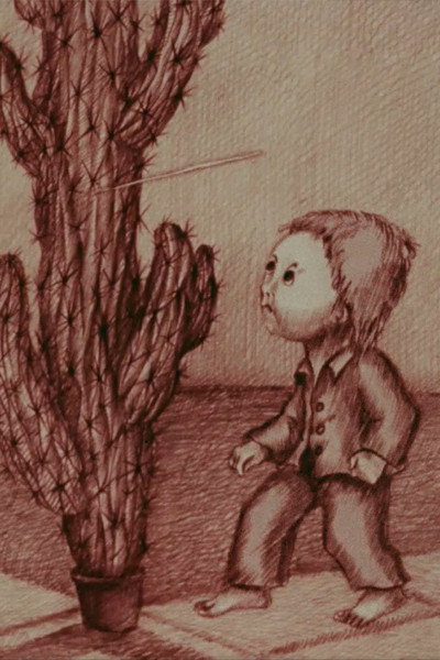 Póster de Kaktuso paslaptis