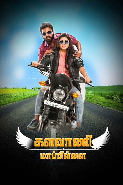 Póster de Kalavani Mappillai