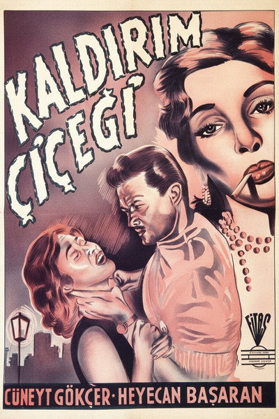Póster de Kaldirim çiçegi