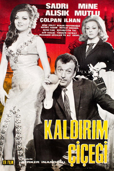 Póster de Kaldirim Çiçegi