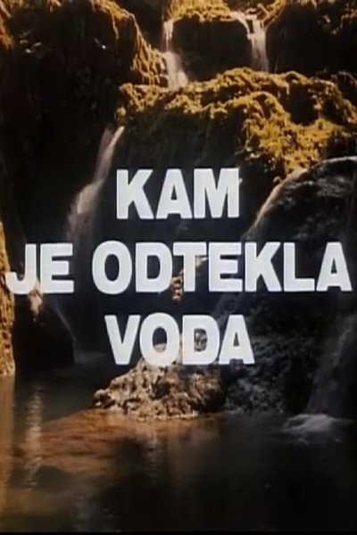 Póster de Kam je odtekla voda?