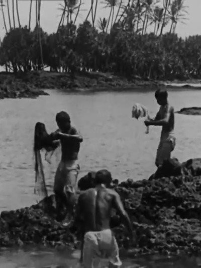 Póster de Kanaka Fishermen Casting the Throw Net, Hilo, H.I.