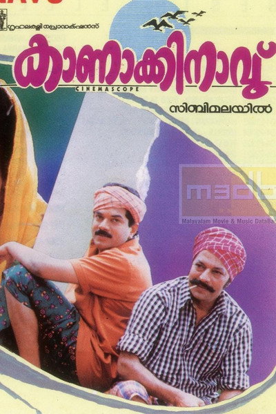 Póster de Kanakkinavu