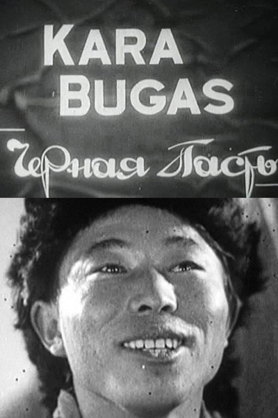 Póster de Kara-bugaz