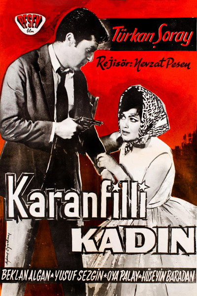 Póster de Karanfilli kadin