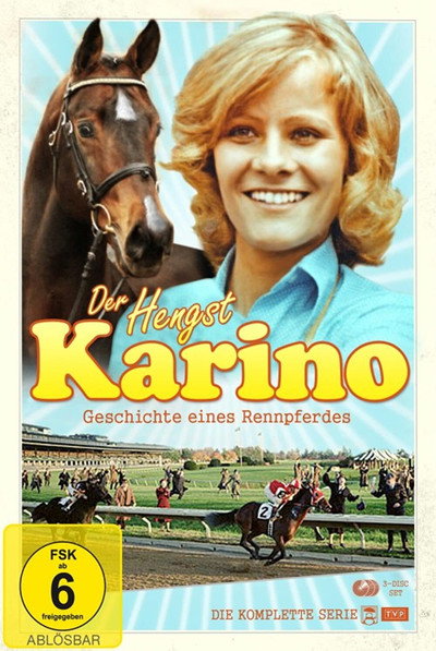 Póster de Karino