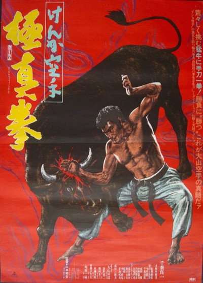 Póster de Kenka karate kyokushinken