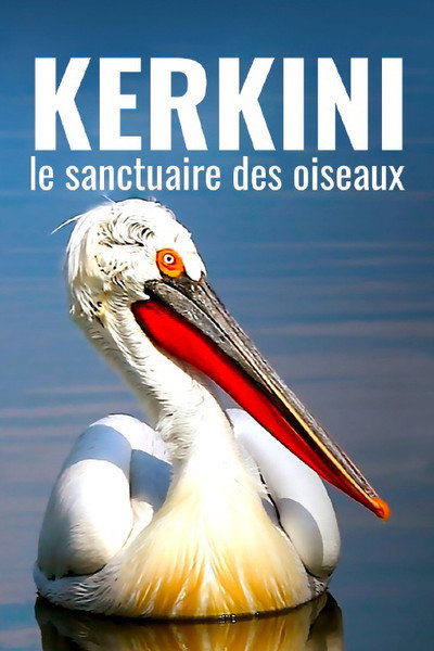 Póster de Kerkini, le sanctuaire des oiseaux