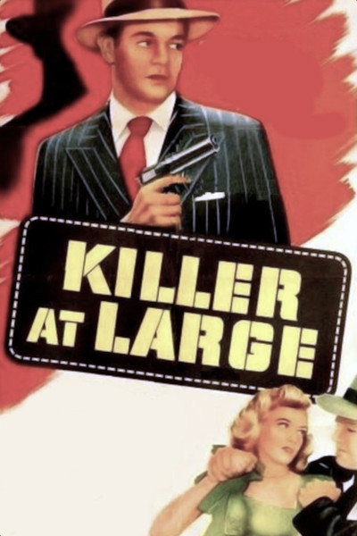 Póster de Killer at Large