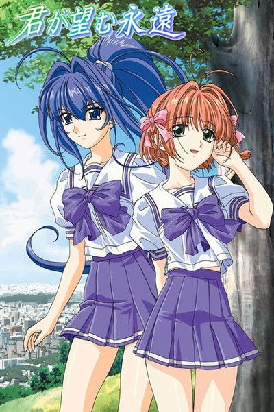 Póster de Kimi ga Nozomu Eien