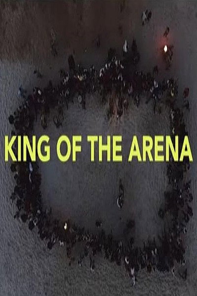 Póster de King of the Arena
