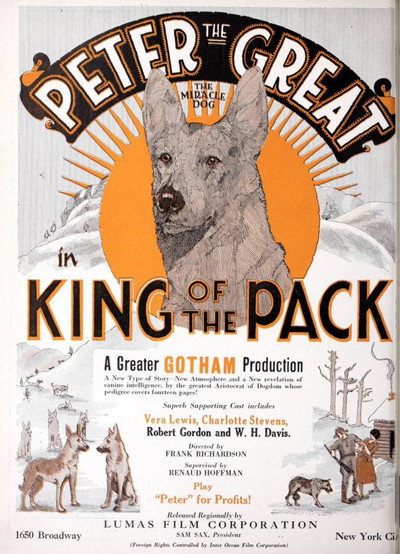 Póster de King of the Pack
