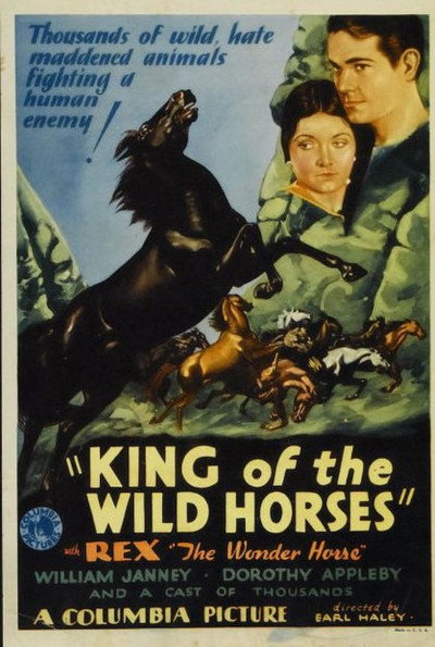 Póster de King of the Wild Horses
