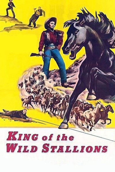 Póster de King of the Wild Stallions