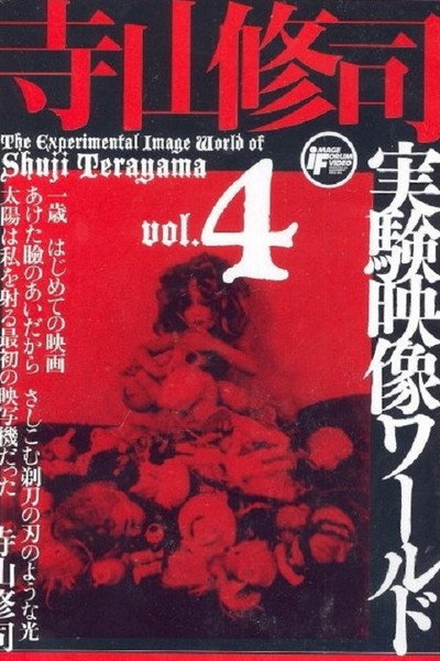 Póster de Kioku no katarogu