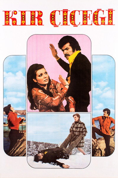 Póster de Kir Çiçegi