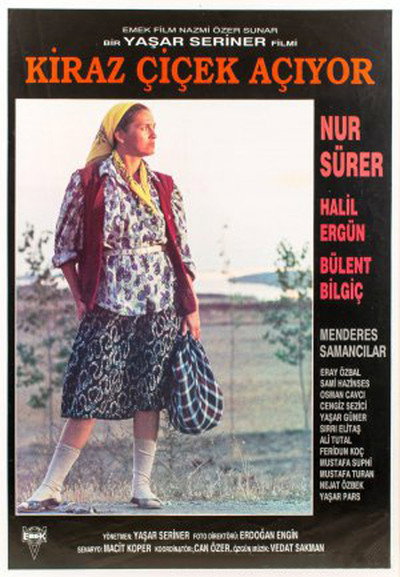 Póster de Kiraz Çiçek Açiyor