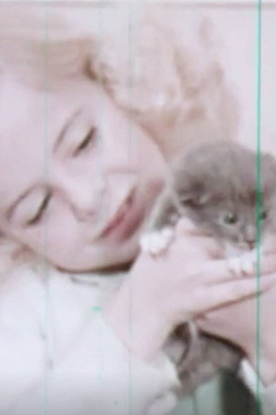 Póster de Kittens: Birth and Growth